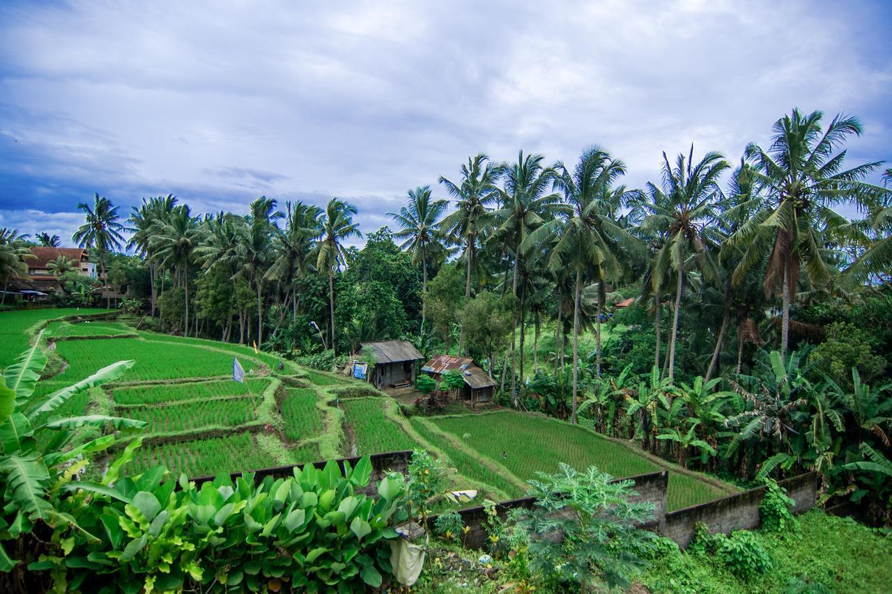 Gusti Rai House Hotel Ubud  Ngoại thất bức ảnh